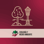 Permiso poda de Arboles (Espacio público)
